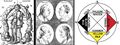 Thumbnail for version as of 19:34, 26 April 2023